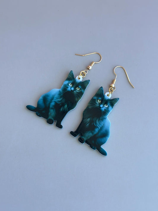 Cat Earrings Cat Breeds Accessories