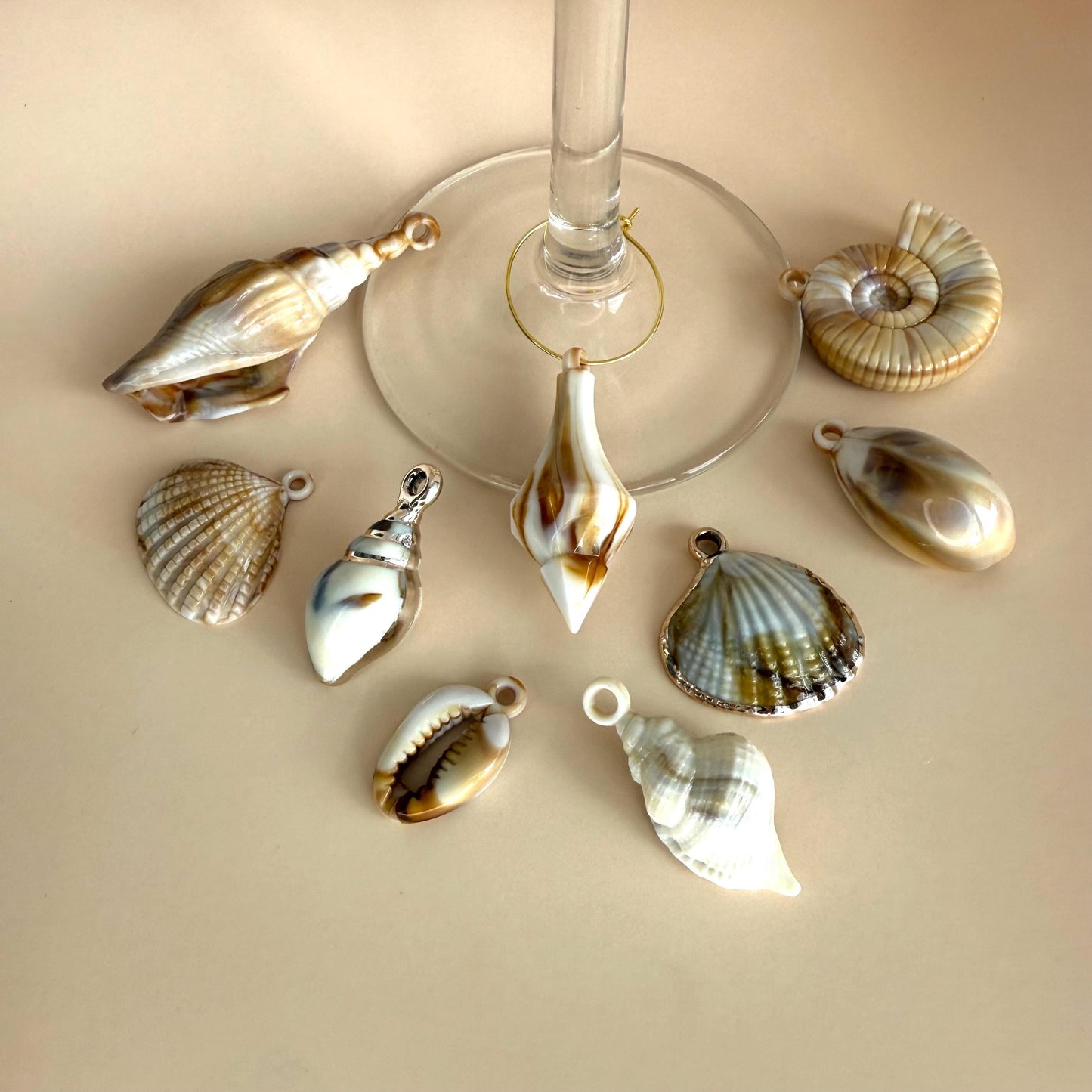 Wine Charms Seaside Theme Wine Glass Charms Seashell Assorted Seashell Wine Favors Beach House Decor Ocean Wine Charm Rings Ocean Lover Sea
