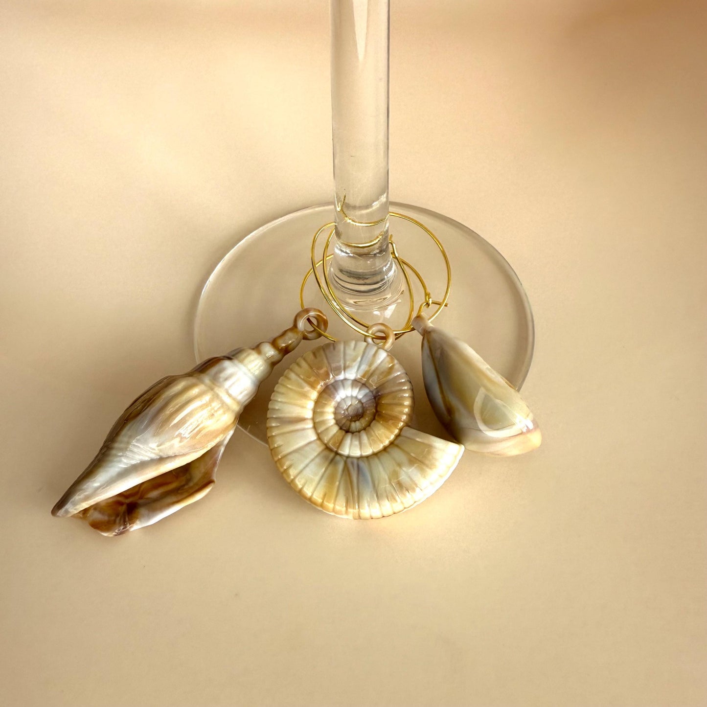 Wine Charms Seaside Theme Wine Glass Charms Seashell Assorted Seashell Wine Favors Beach House Decor Ocean Wine Charm Rings Ocean Lover Sea
