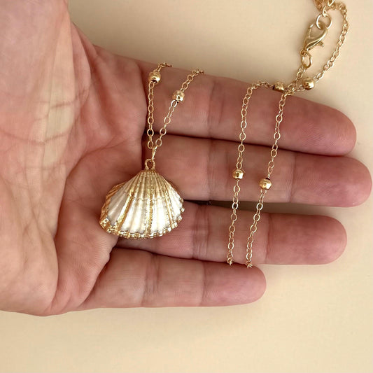 Shell Necklace Seashell Pendant Shell Charm Seashell Jewelry Gift for Ocean Lover Seaside Necklace Beach Theme Jewelry Cute Shell Lover
