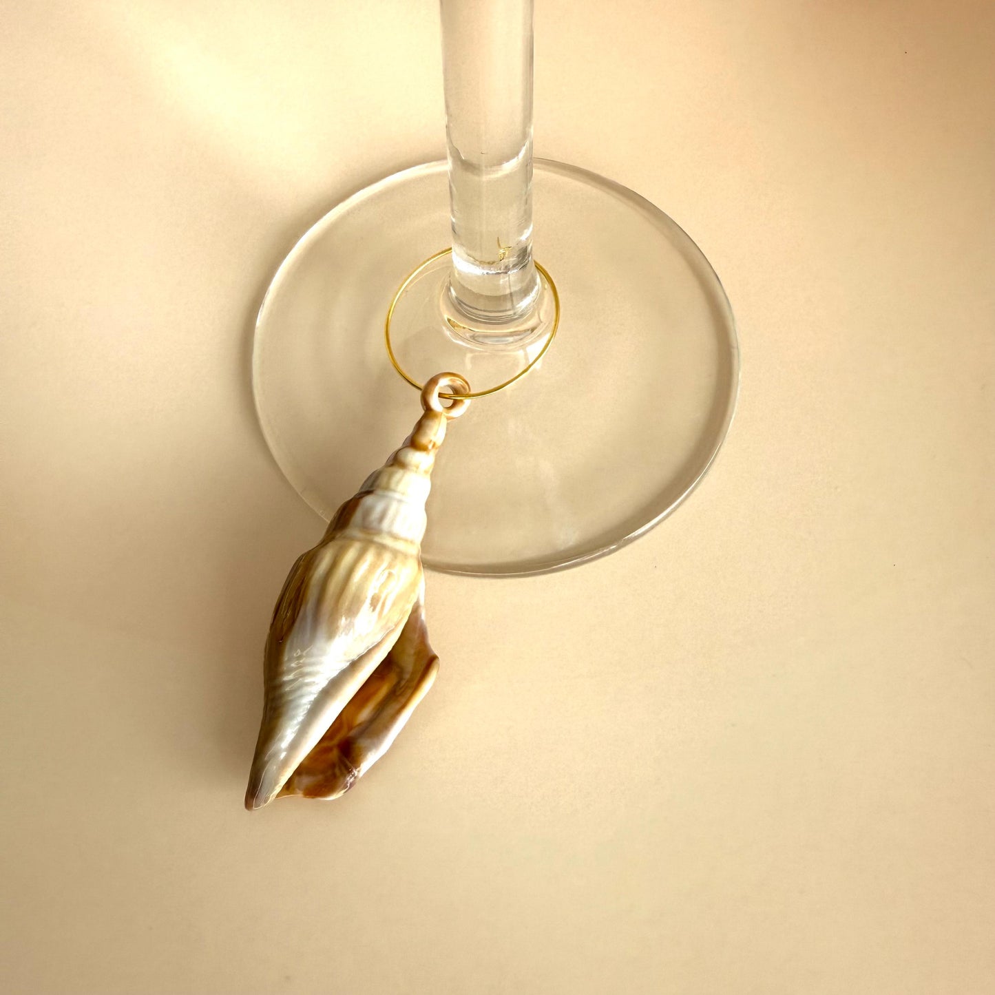 Wine Charms Seaside Theme Wine Glass Charms Seashell Assorted Seashell Wine Favors Beach House Decor Ocean Wine Charm Rings Ocean Lover Sea